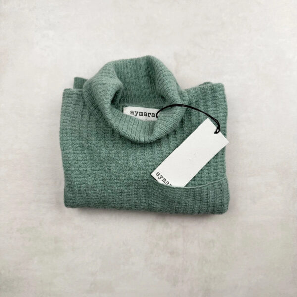 Pull à col roulé enfant Aymara Duncan unisexe vert aqua taille 2 ans (2Y) — vue 2